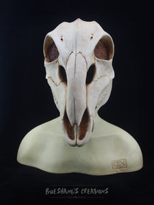 Deer Skull Mask