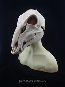 Deer Skull Mask