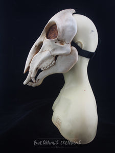 Deer Skull Mask