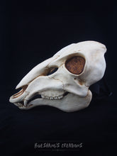 Load image into Gallery viewer, Deer Skull Mask