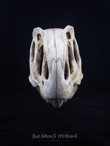 Allosaurus Skull Mask