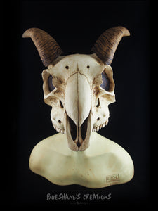Goat Skull Mask - Half