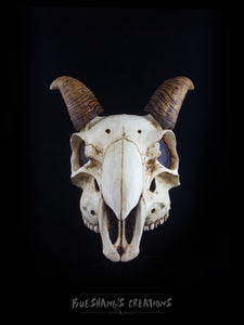 Goat Skull Mask - Half