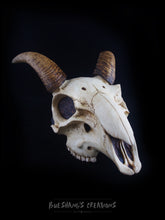 Load image into Gallery viewer, Goat Skull Mask - Half