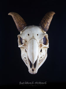 Goat Skull Mask - Full