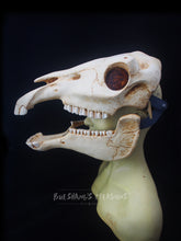 Load image into Gallery viewer, Horse Skull Mask - Full