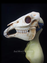 Load image into Gallery viewer, Horse Skull Mask - Full