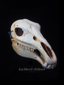 Horse Skull Mask - Full