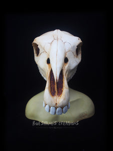 Horse Skull Mask - Half