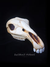 Load image into Gallery viewer, Horse Skull Mask - Half