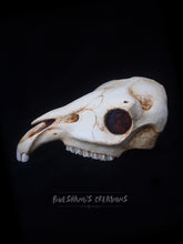 Load image into Gallery viewer, Horse Skull Mask - Half