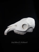 Load image into Gallery viewer, Horse Skull Mask - Half - Unpainted Blank