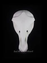 Load image into Gallery viewer, Horse Skull Mask - Half - Unpainted Blank