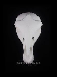 Horse Skull Mask - Half - Unpainted Blank