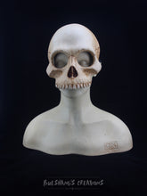Load image into Gallery viewer, Human Skull Mask - Half