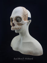 Load image into Gallery viewer, Human Skull Mask - Half
