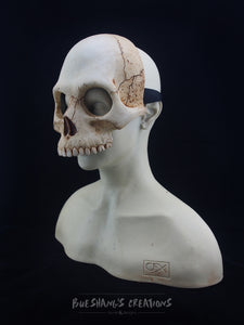 Human Skull Mask - Half