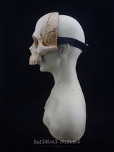 Load image into Gallery viewer, Human Skull Mask - Half