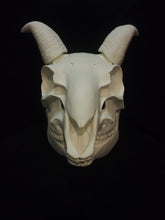 Load image into Gallery viewer, Goat Skull Mask - Full - Unpaintd Blank