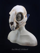 Load image into Gallery viewer, Rodent Skull Mask