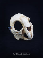 Load image into Gallery viewer, Rodent Skull Mask