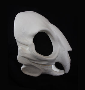 Rodent Skull Mask - Unpainted Blank