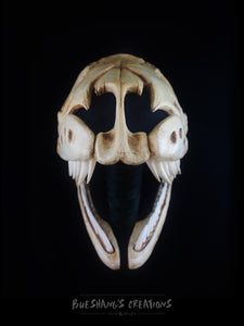 Snake Skull Mask - Full