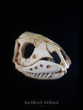 Load image into Gallery viewer, Snake Skull Mask - Full