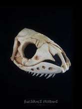 Load image into Gallery viewer, Snake Skull Mask - Half