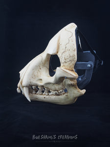 Wolf Skull Mask - Full